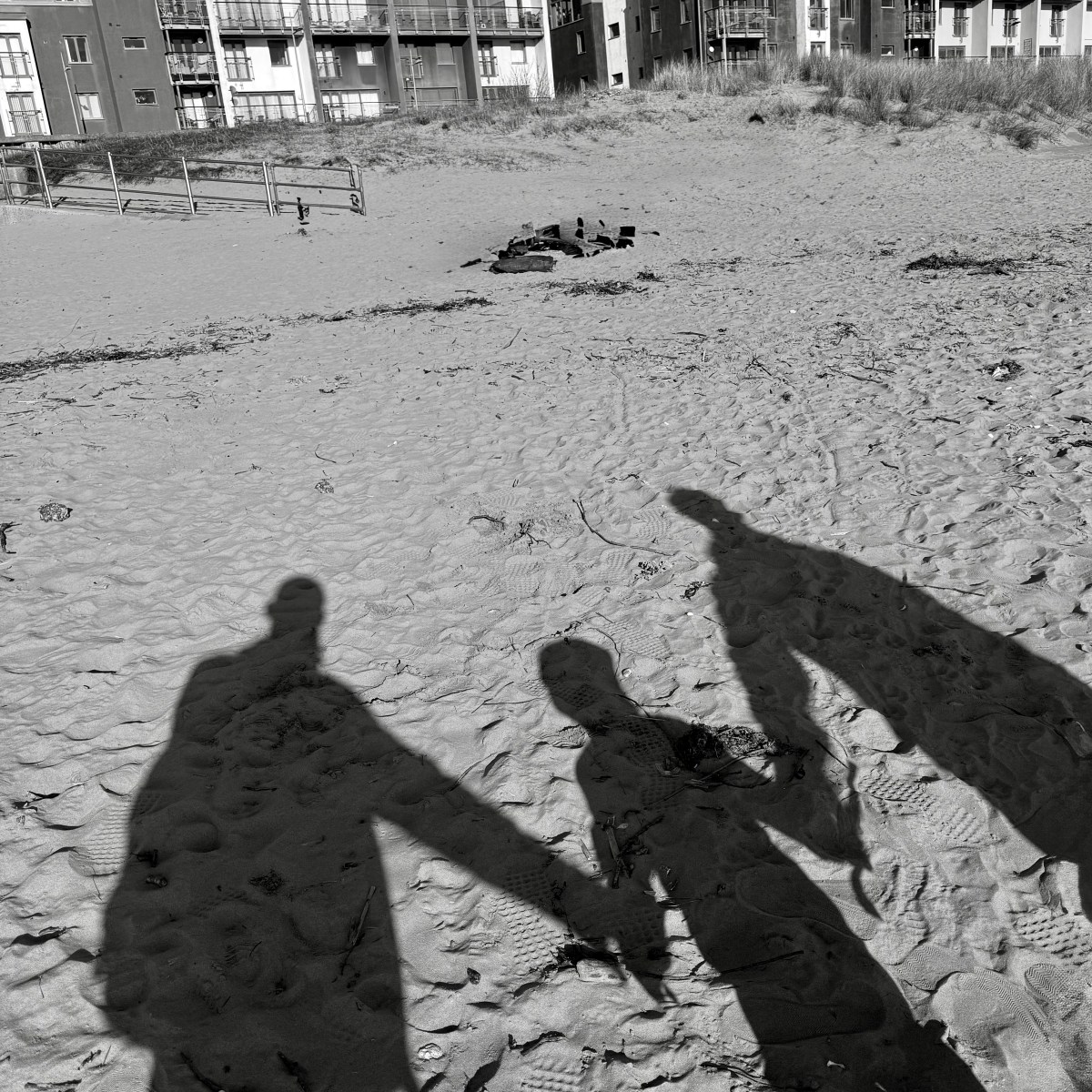 matching panel & introductions…